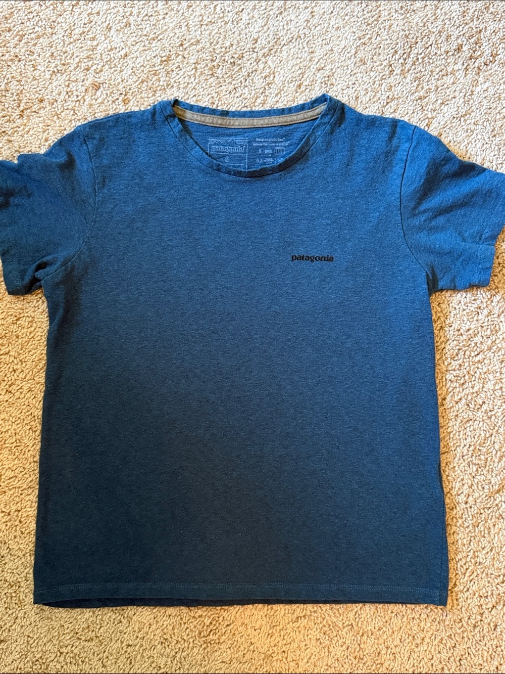 Patagonia Blue Heather Short-Sleeve Crew Tee